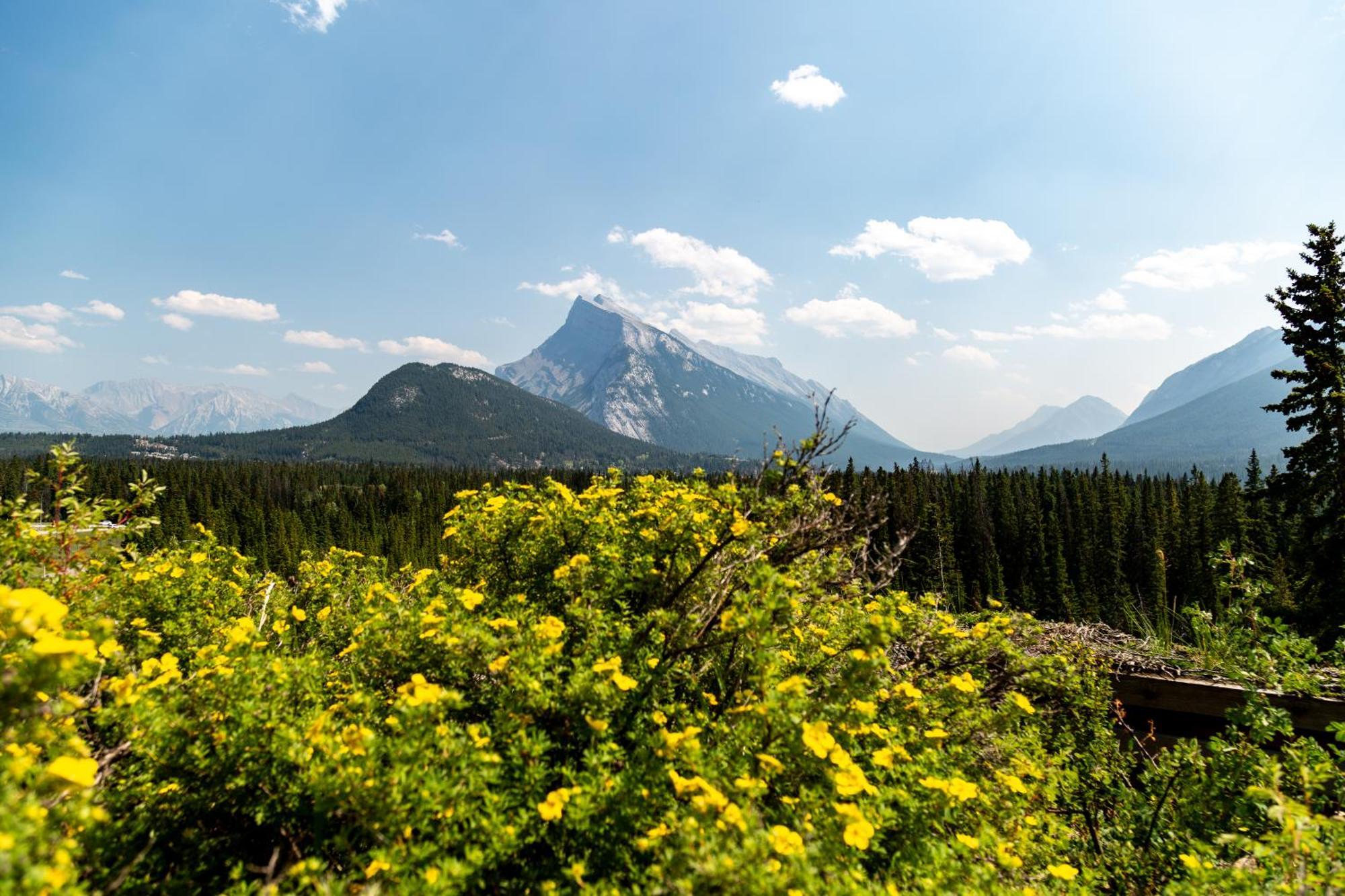 The Juniper Hotel & Bistro Банфф Екстер'єр фото